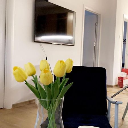 Vanja Apartman Vrsac Exteriér fotografie