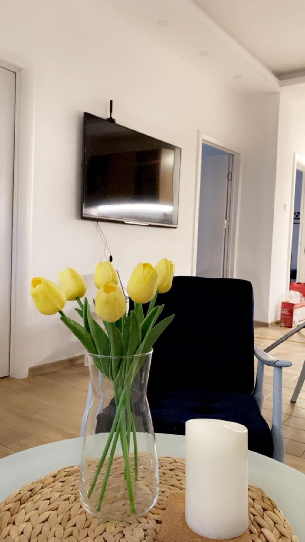 Vanja Apartman Vrsac Exteriér fotografie
