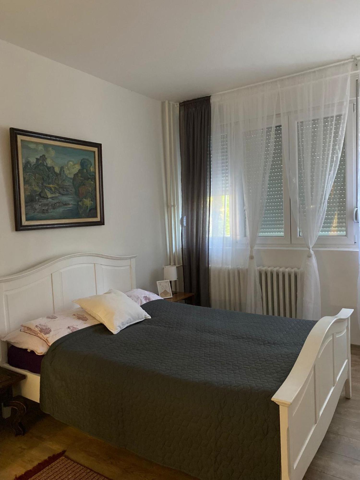 Vanja Apartman Vrsac Exteriér fotografie