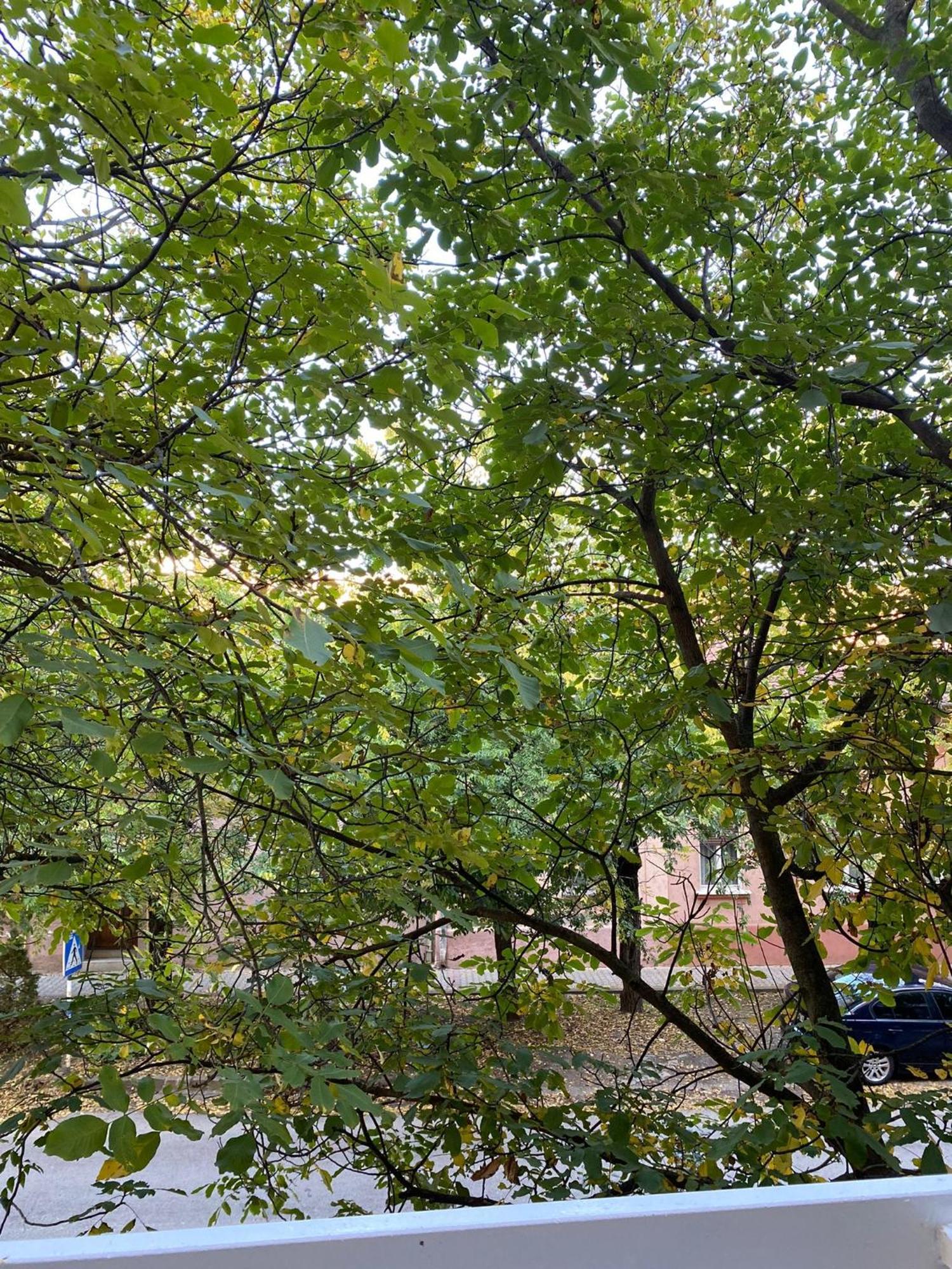 Vanja Apartman Vrsac Exteriér fotografie