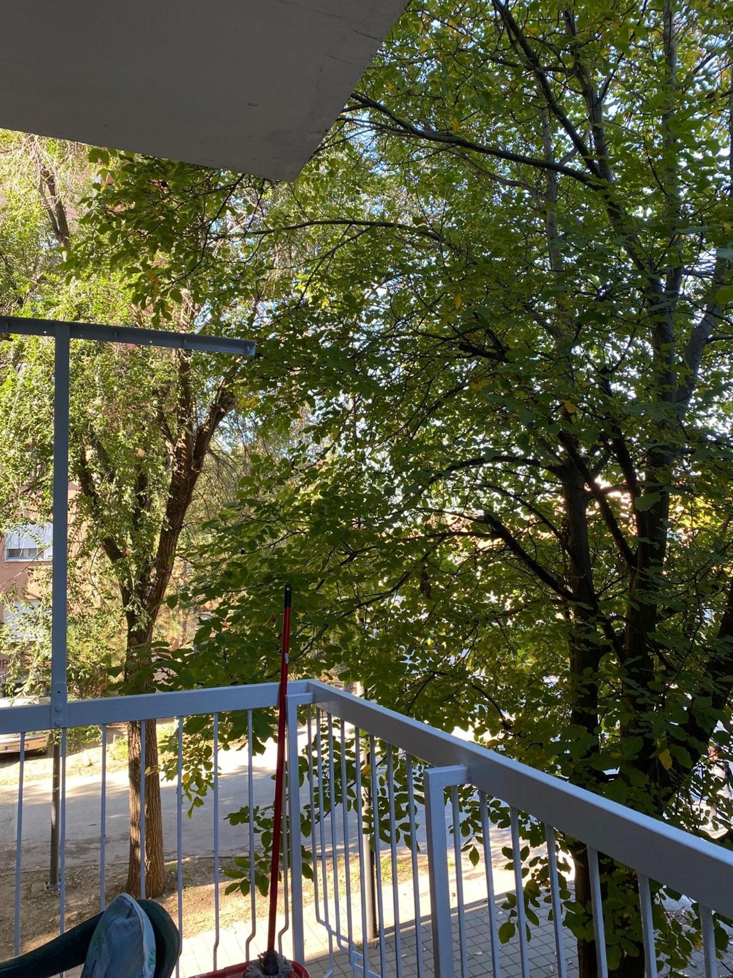 Vanja Apartman Vrsac Exteriér fotografie